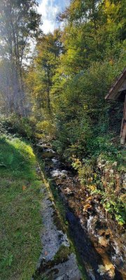 Für Naturliebhaber und Heimwerker- sanierungsbedürftiges Bauernhaus mit Nebengebäuden - zwischen Hermagor und Villach