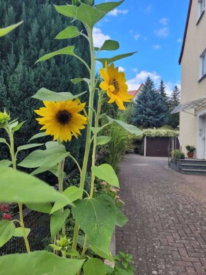 Attraktive Etagenwohnung in der Erfurter Brühlervorstadt mit Garten, Garage u. Stellplatz