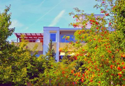 Puchheim-Bahnhof S4: Luftiges 3-Zi-Penthouse, ca. 83m² Dachterrasse Loggia Lift KfZ-Stpl.  *frei*