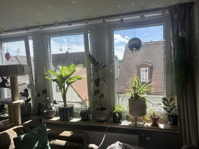 2,5 Zimmer stadtwohnung