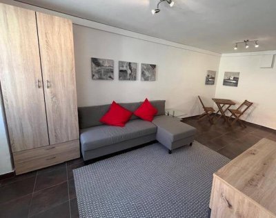 Toplage: super möbliertes 1 Zi.-Apartment mit begrüntem Innenhof