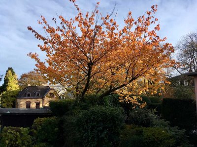 Hochwertig ausgestattete, ruhige Single-Wohnung im Briller Viertel