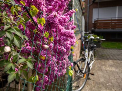 Komplett renoviert & möbliert – 2-Zimmer-Traumwohnung mit Balkon in ruhiger Lage!