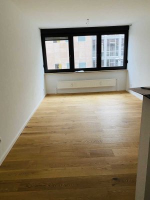1-Zimmerapartment gegenüber der Technischen Hochschule Nbg./Kepßlerplatz