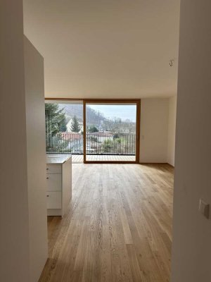 Stilvolle 3-Raum-Wohnung mit gehobener Innenausstattung mit EBK in Lörrach