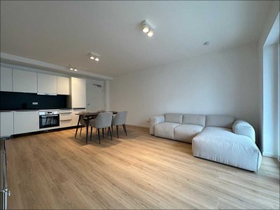 Möblierte 2 - Zimmer Wohnung im SCHÖNTALHAUS mit EBK und Klimaanlage mitten in Aschaffenburg