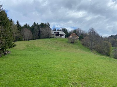 Landwirtschaft in Alleinlage Nähe Friesach