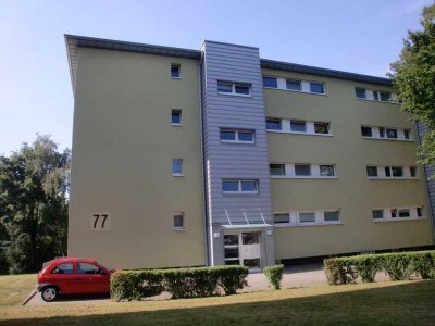 2,5 Raum Wohnung + Ankleidezimmer