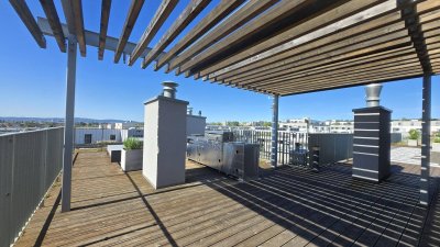 Single-/Pärchenhit mit Terrasse - Herrliche Gemeinschafts-Dachterrasse - Inkl. Garagenplatz