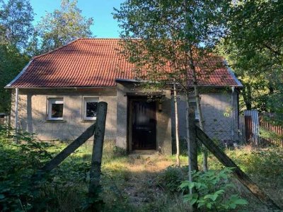 ***Lage,Lage,Lage***Haus im Wald, wo sich Fuchs und Hase gute Nacht sagen