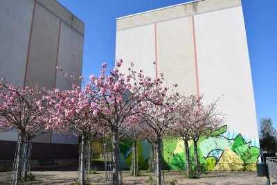Familienwohnung mit perfektem Grundriss