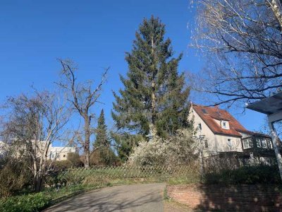 Renoviertes Einfamilienhaus mit großem Garten in ruhiger sonniger Lage für Famlien