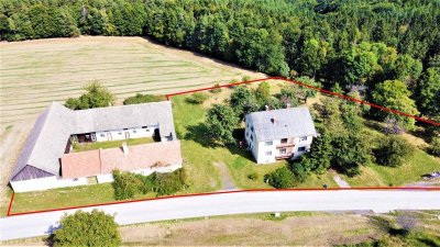 [06646] Verwirklichen Sie Ihren Traum: Wohnhaus mit Vierkanthof!