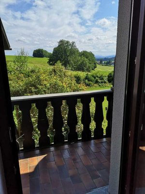 Schöne, modernisierte 2,5-Zimmer-Wohnung mit Balkon in Göggenhofen