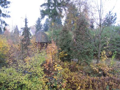 Gemütliche 2 Zimmer Wohnung