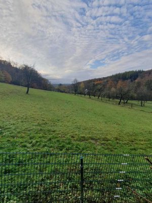 Grebbecke! Frisch renovierte 2,5-Zi. Whg., KDB, Stellplatz, Terrasse, Garten u. Panoramablick!