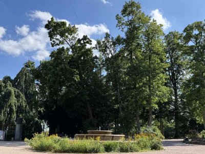 LUXURIÖSE GROSSWOHNUNG MIT ALTBAUFLAIR & BLICK IN DEN PARK