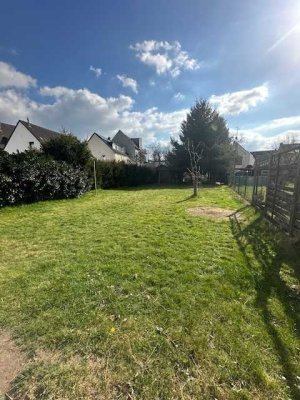 Viel Raum, großer Garten, ideale Bedingungen für Hundebesitzer