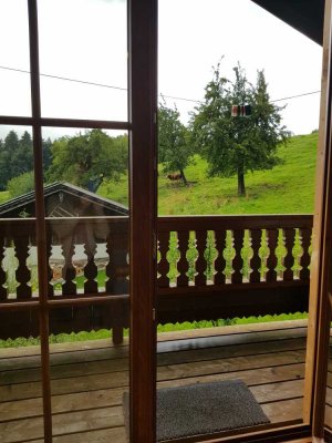 1-Zimmer-DG-Wohnung mit Balkon mitten im Grünen