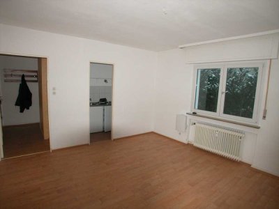 Sonniges teilmöbliertes  Apartment im "grünen" Neu-Isenburg