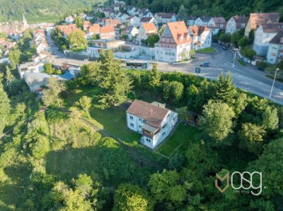 Haus mit Einliegerwohnung & Bauplatz,einzigartig, unverbaubar, ohne direkte Nachbarn