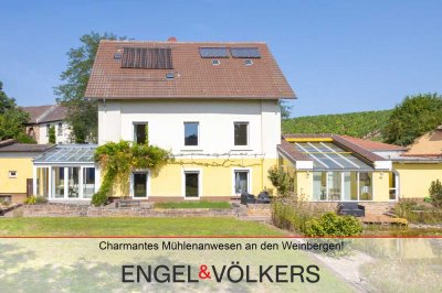 Charmantes Mühlenanwesen an den Weinbergen mit parkähnlichem Grundstück!