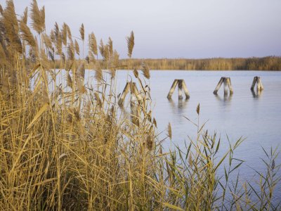 "The Lagoon" - Modern - Nachhaltig - Elegant PROVISIONSFREI