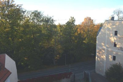 Altstadt Dachgeschoss mit Blick in den Park