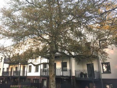 Nur mit WBS Schein: 2-Zimmer-EG-Wohnung mit großer Terrasse