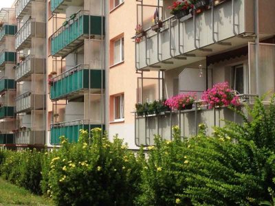 Endlich wieder eine sanierte Wohnung im Leibnizviertel!