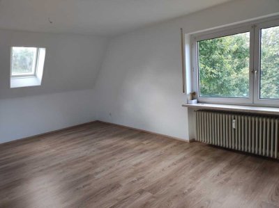Neu renovierte 3 ZKB Wohnung