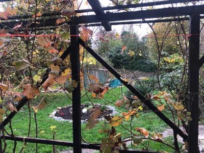 * - 288 m² großer Garten -* Top 1,5 EG-Wohnung frei zum Bezug od. 4 % Mietrendite*