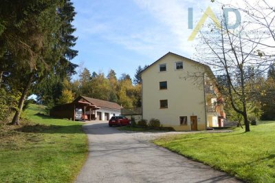 Landwirtschaftliches Anwesen mit großer Wiese, Mehrparteienhaus und vielem mehr