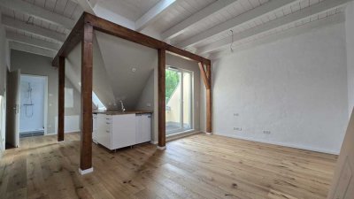 Ökologischer Dachausbau für gesundes Wohnen in gepflegtem Altbau * Dachterrasse