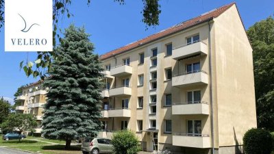 Dein neu renoviertes zu Hause- 2 Zimmerwohnung im Erdgeschoss