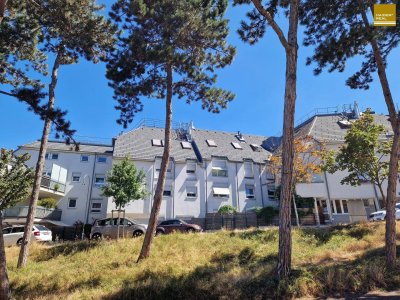 NEUER PREIS - 4-Zimmer-Gartenwohnung in zentraler Lage mit Garagenplatz