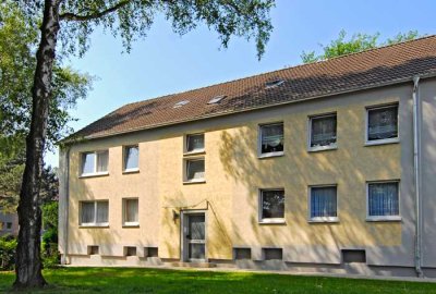 Wohnen nahe der Halde Hoheward, 3-Raum-Wohnung mit Wohnberechtigungsschein
