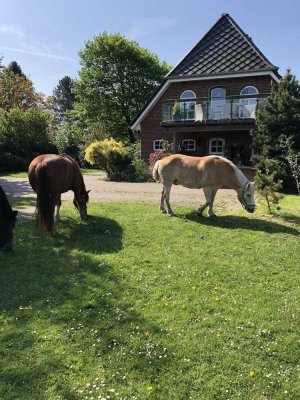 schönes Einfamilienhaus mit Pferdehaltung,Weiden und Stallungen