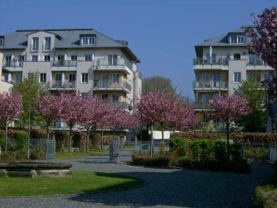 zum Wohlfühlen - Apartment in zentraler Lage