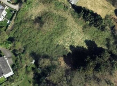 Verpachte Grünfläche für landwirtschaftliche Zwecke in einer Toplage Nähe Trienendorferstr. Wetter