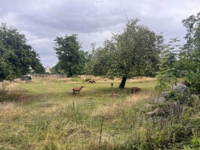 Idyllisches Landhaus mit Nebengebäuden – Viel Raum für Familie und Gemeinschaft auf großzügigen 6.00