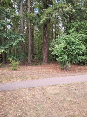 Vermietete 2 -Zi.-Wohnung in Seenähe in Grünheide mit Stellplatz