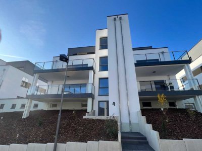 Hochwertige 3,5 Zi Wohnung, offene Küche inkl. hochwertiger Einbauküche, Gäste WC, große Terrasse