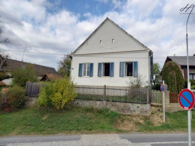 Landhaus sucht neuen Eigentümer