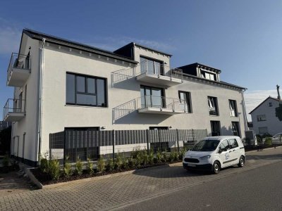 2 Zimmer Wohnung EBK, FBH, Parkett, KFW 55