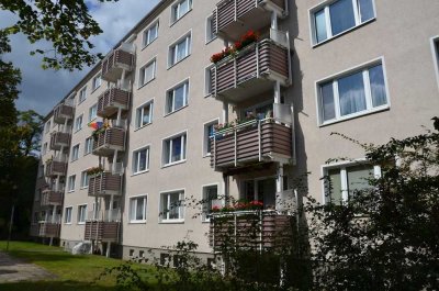 Schöne 3 Raum Wohnung im Zentrum