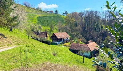 Scheibengrund in Kitzeck