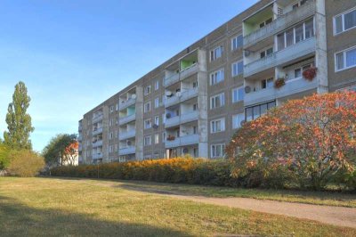 4 Räume / Hochparterre / ohne Kaution / Ammendorf