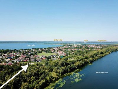 Maritime Eigentumswohnung mit Klimaanlage,Balkon & Garten zwischen Goitzsche & Muldestausee in Pouch