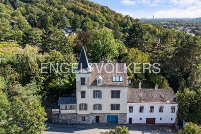 Rohdiamant mit Schlosscharakter beim Bisamberg